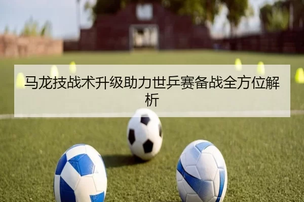马龙技战术升级助力世乒赛备战全方位解析