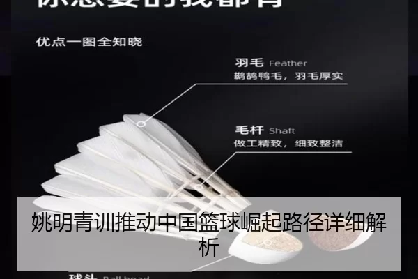 姚明青训推动中国篮球崛起路径详细解析